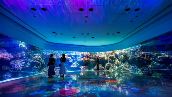 Xpark Aquarium