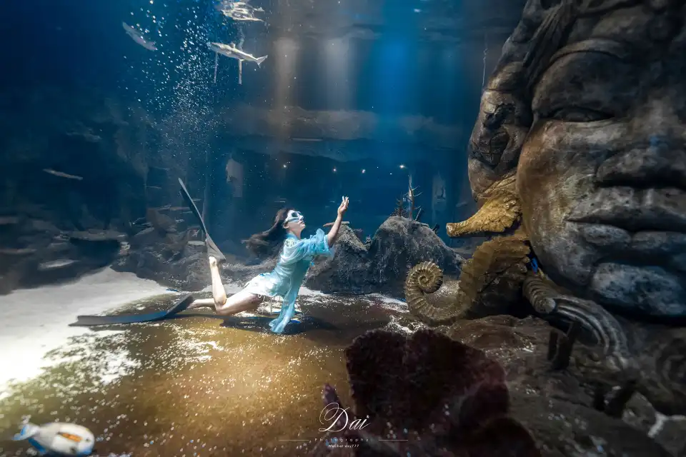 2_Chongqing Haichang Ocean Park