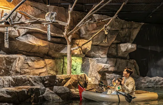 Zoolung Zoolung室內萌寵樂園(DONGTAN LAKMON分店)門票大小同價（非韓國國籍）