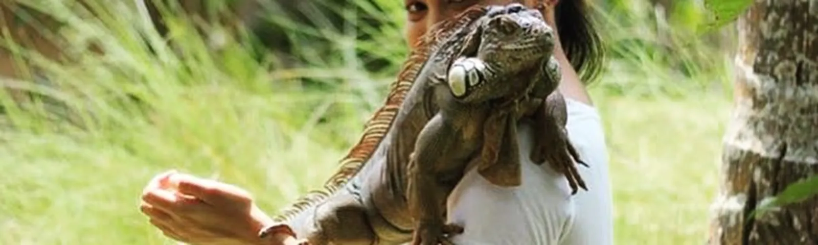 TanjungSchede telefoniche