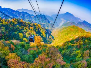 Gold Buddha Mountain