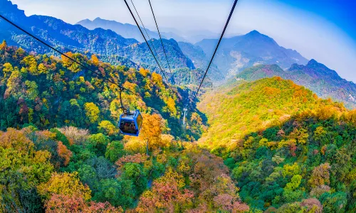 Gold Buddha Mountain