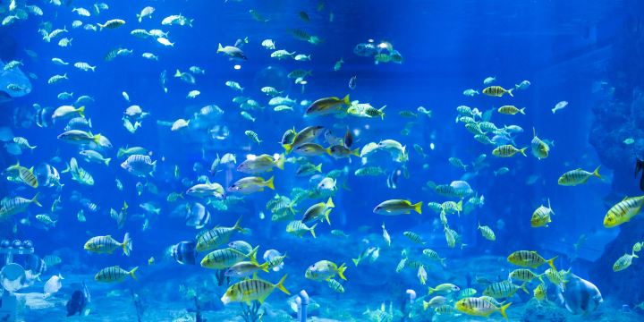 Lanzhou Polar Ocean World