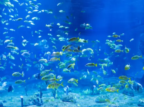 란저우 오션 월드