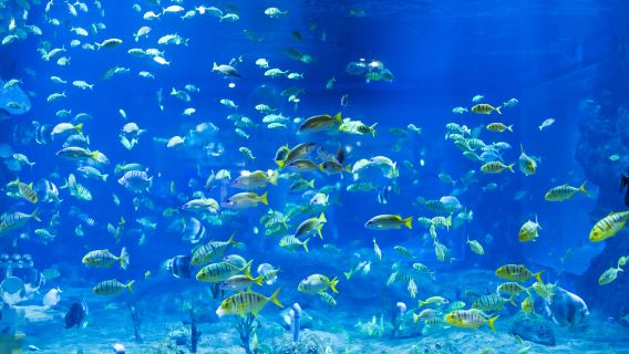 Lanzhou Polar Ocean World