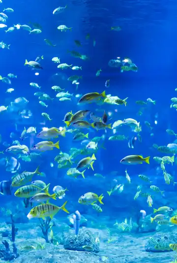 Hotels near Lanzhou Polar Ocean World