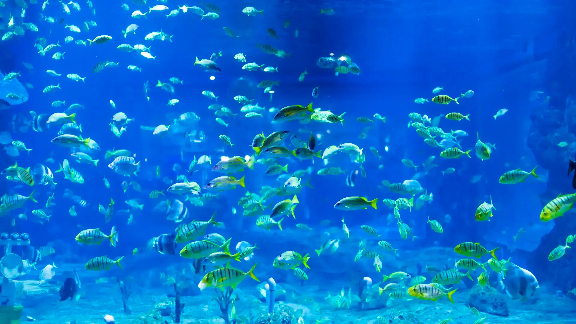 Hotels near Lanzhou Polar Ocean World