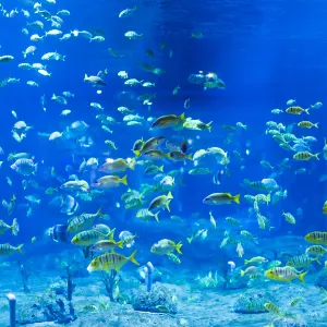 蘭州極地海洋世界