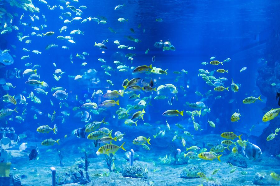 蘭州極地海洋世界