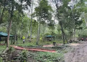 野牛塘熱帶森林生態古茶園