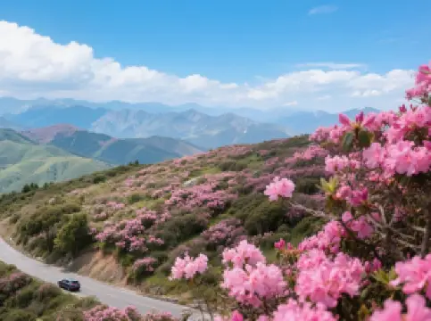 Shennongjia Tourism Area