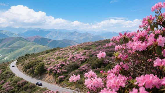 Shennongjia Tourism Area