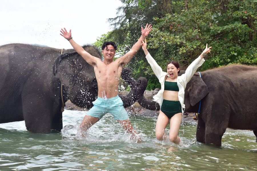 Elephant Swims @Lucky Beach, Tri Trang