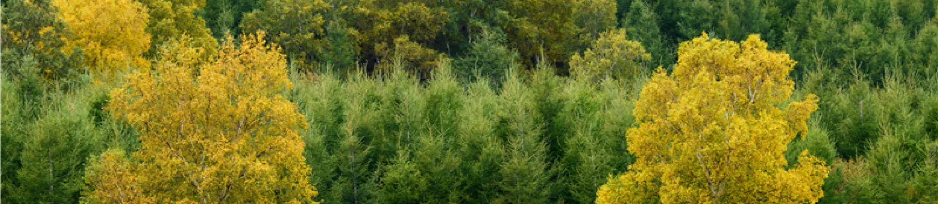Herbstliche Sehenswürdigkeiten