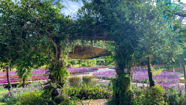 Chuon Chuon Bistro Tourist Area