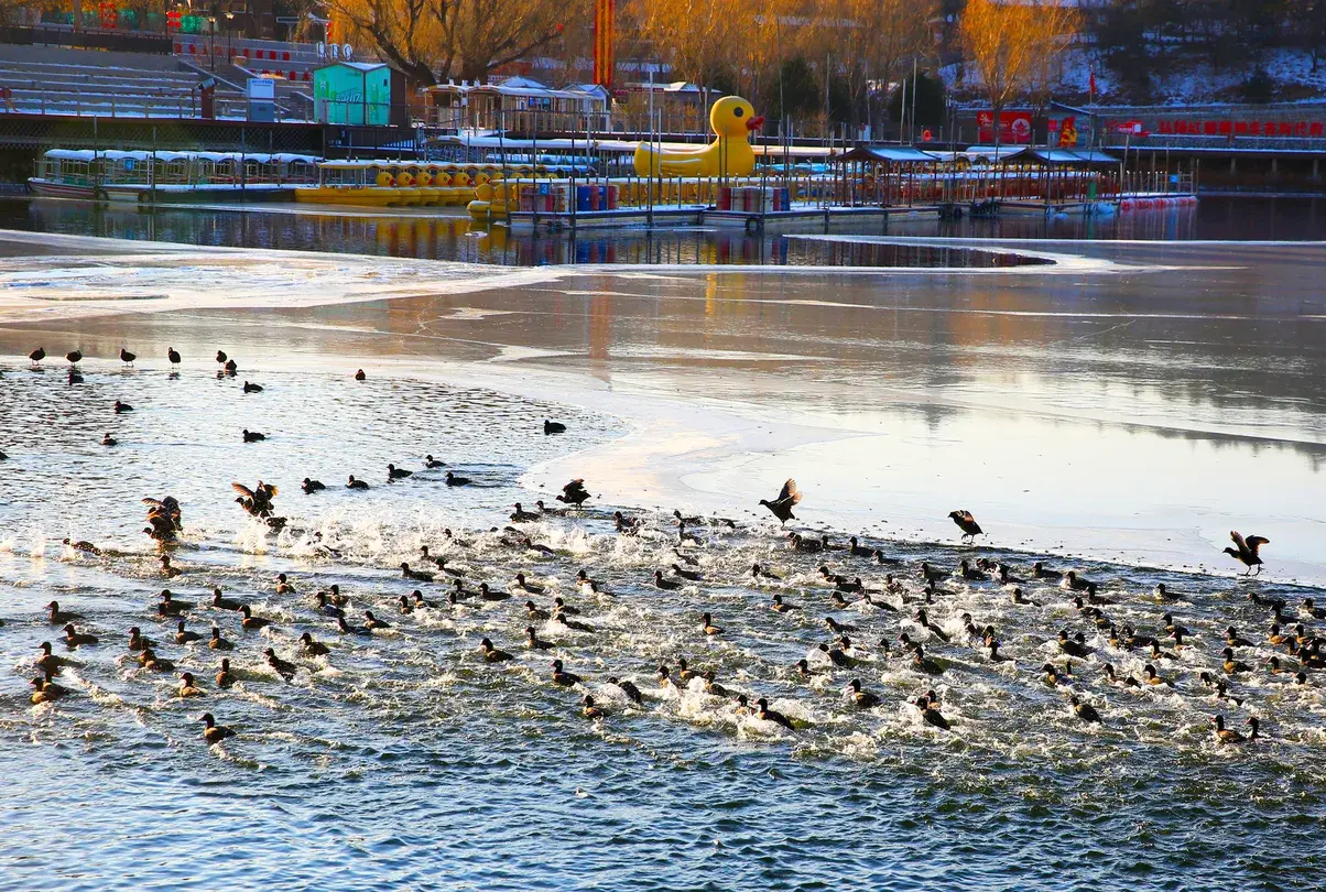 3_Yanqi Lake
