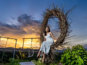Palawan Swing