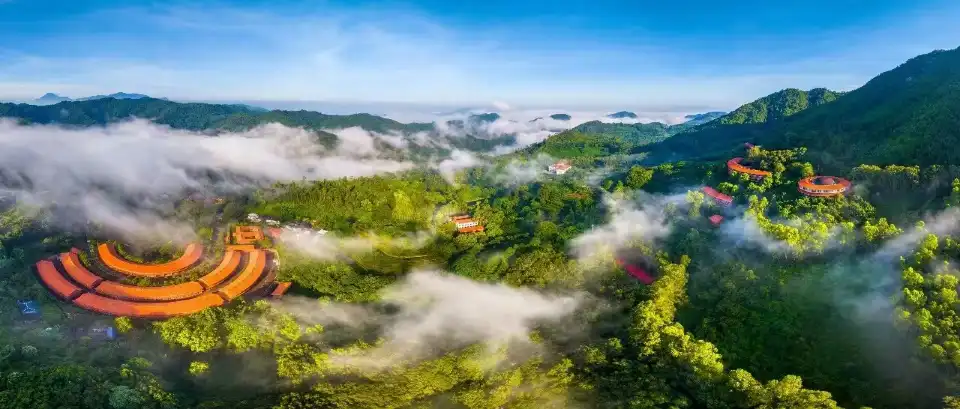 3_Yearning Tea Plantation Tourist Attraction