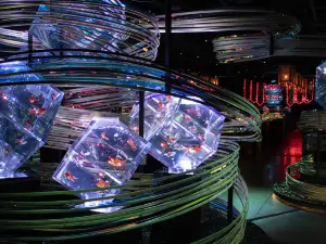 銀座藝術水族館美術館