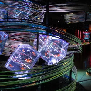 銀座藝術水族館美術館