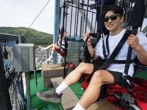 Skyline Zipwire