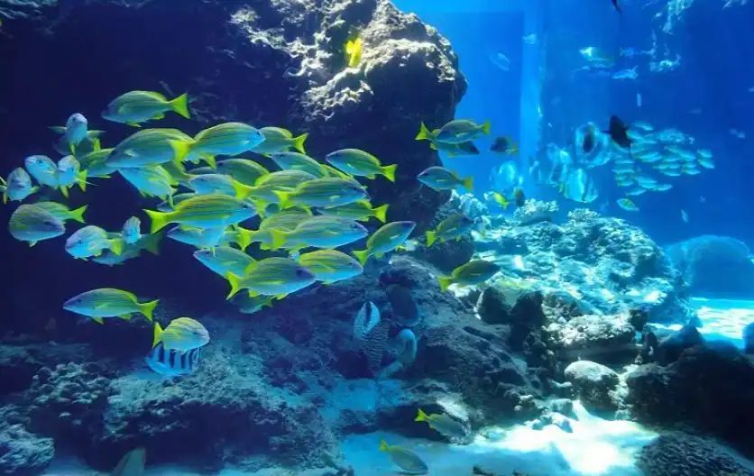 Hotels near Xinao Underwater World