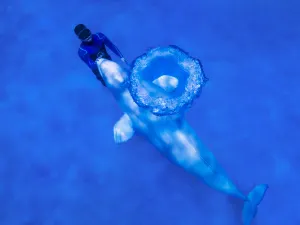 青島極地海洋公園