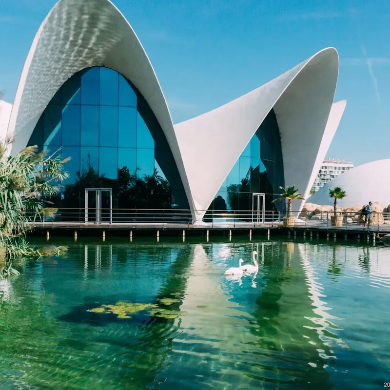 4_Oceanogràfic València