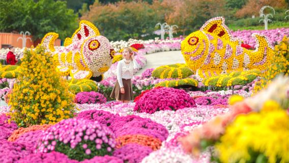 Manhua Sea of Flowers