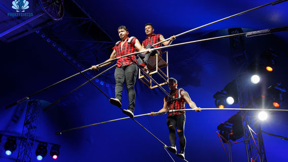 Phuket Circus