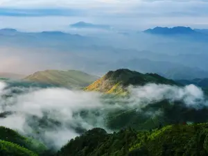대위산(다웨이산) 국가삼림공원