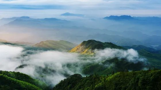 大圍山國家森林公園
