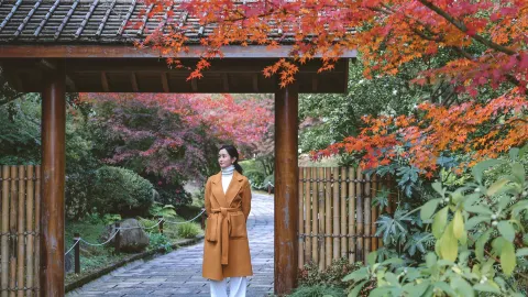 上渚山奇幻谷 attraction in 德清