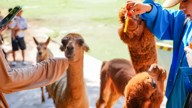 Hotels near Jinhua Zoo