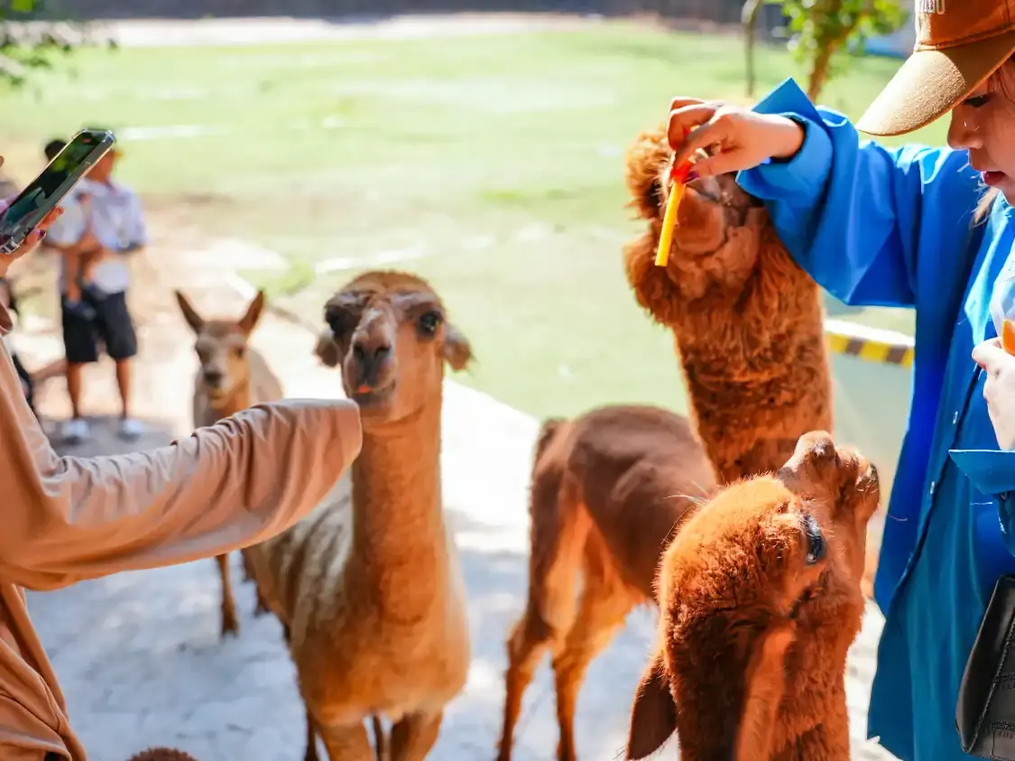 Các khách sạn gần Jinhua Zoo
