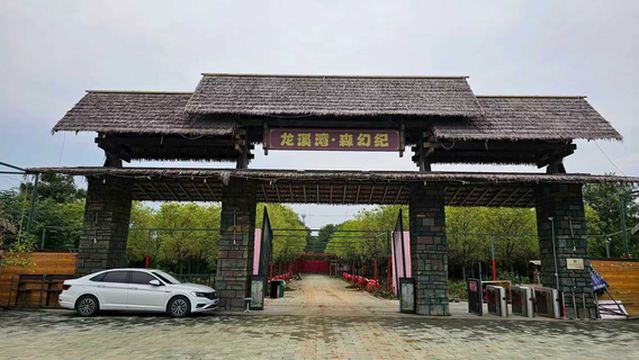 Longxi Bay · Forest Fantasy