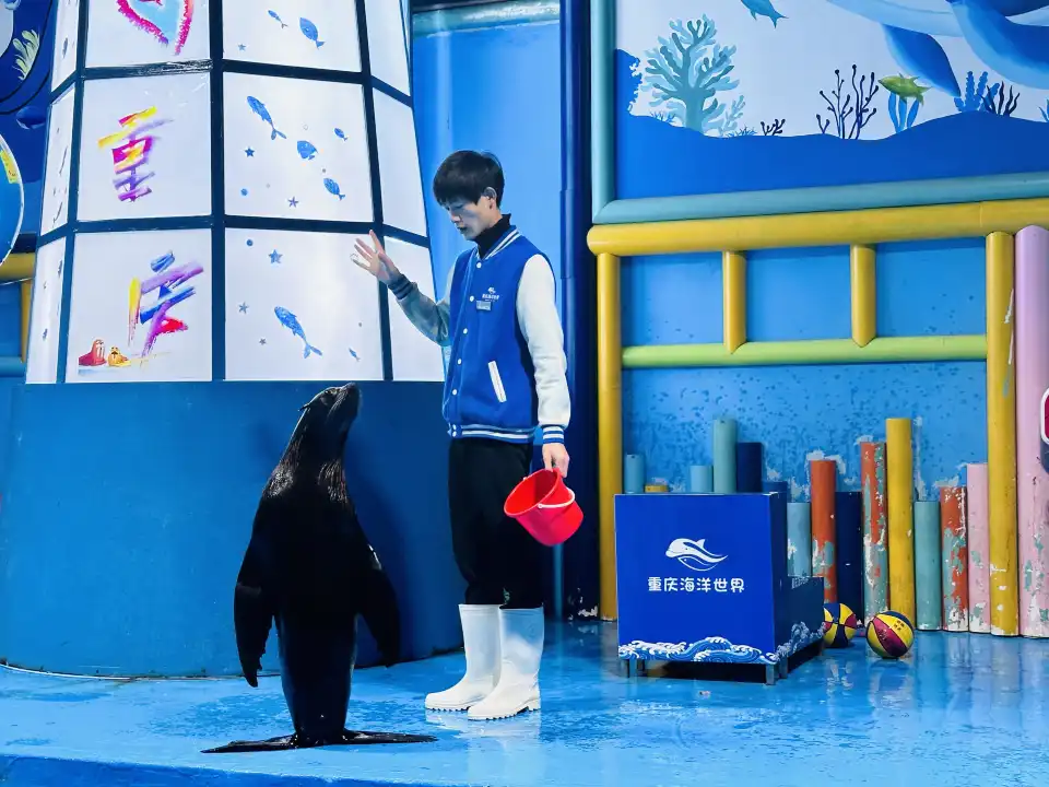 5_Chongqing Ocean World
