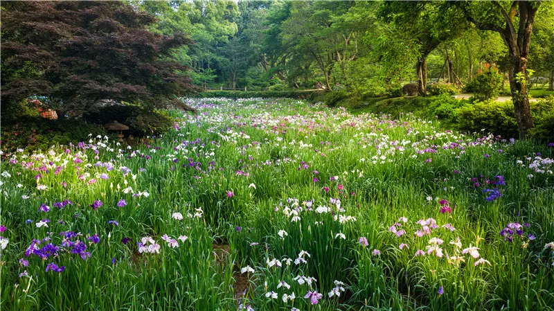 3_Tai Hu Yuantouzhu Scenic Spot