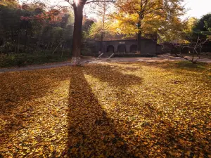 Nanshan Scenic Area
