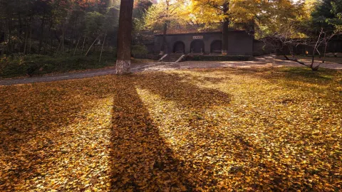 南山 attraction in 鎮江