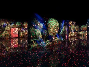 ARTE MUSEUM 濟州