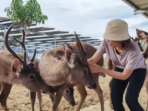 Tiên Tiến Farm & Zoo
