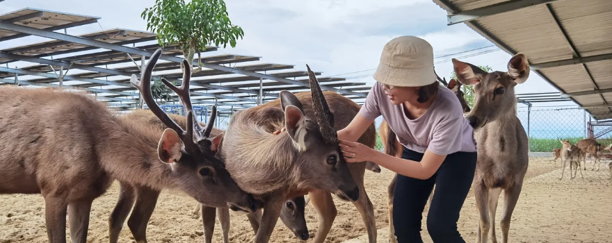 Tiên Tiến Farm & Zoo