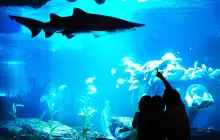 Пусан аквариум