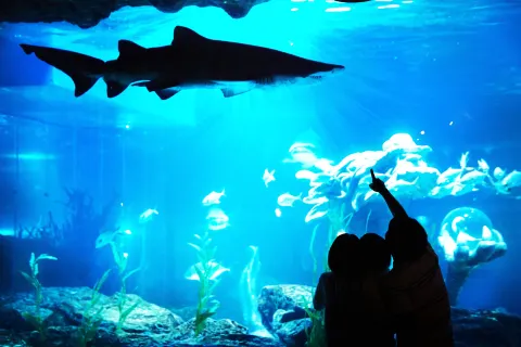 SEALIFE Busan Aquarium