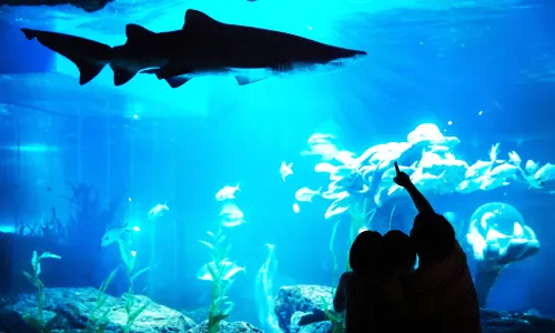 SEALIFE Busan Aquarium