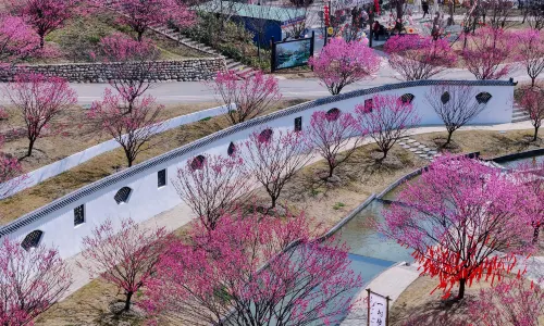 เพลงเบย์ฟู