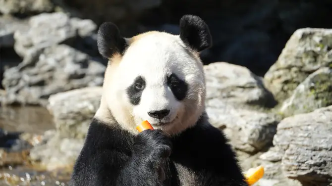 3_杭州野生動物世界