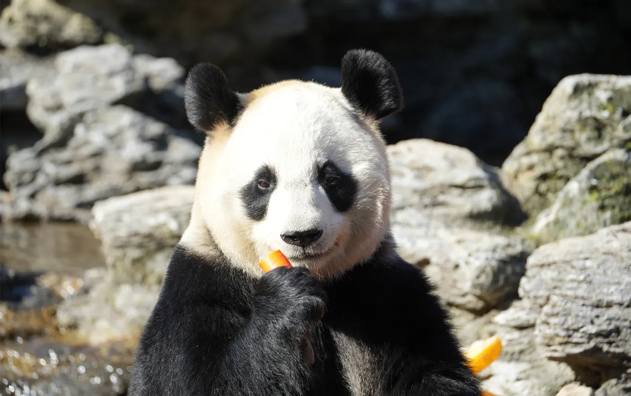 3_杭州野生動物世界