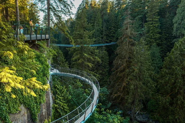5_Capilano Suspension Bridge Park